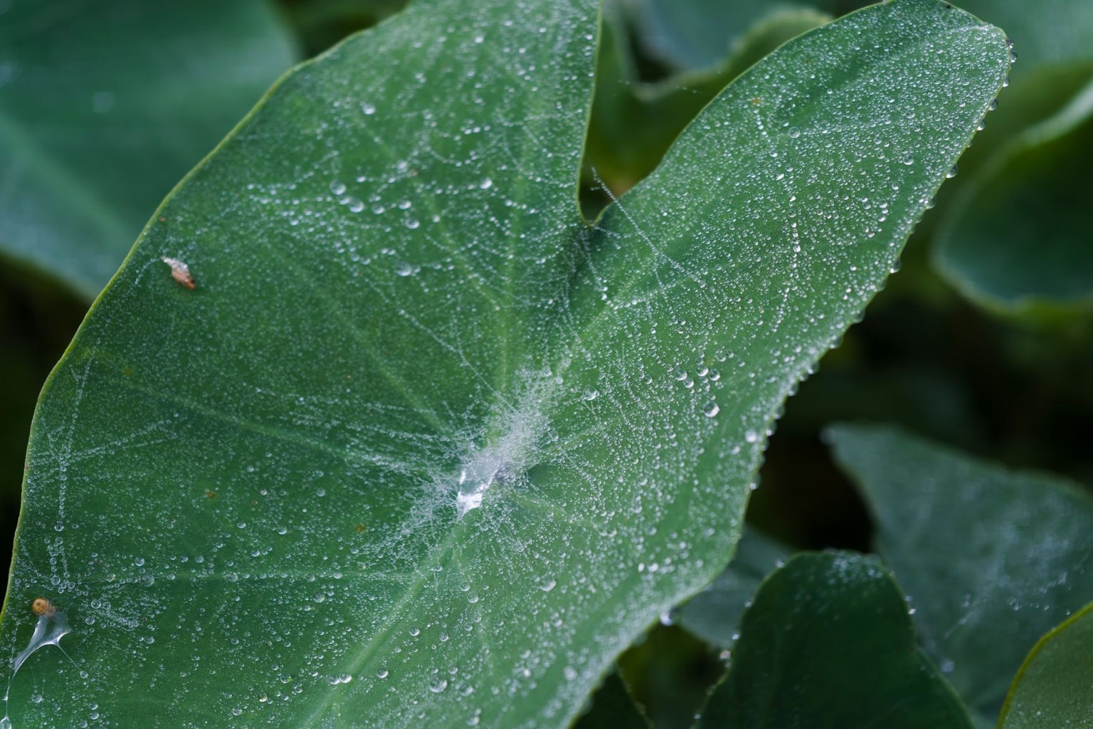 Les bienfaits de l’acide hyaluronique pour la peau — Les limites face aux agressions environnementales et au mode de vie Les bienfaits de l’acide hyaluronique pour la peau — Les limites face aux agressions environnementales et au mode de vie